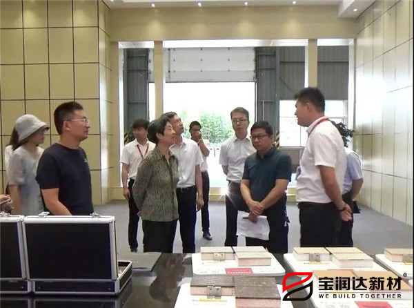 國(guó)家住建部專家組蒞臨寶潤(rùn)達(dá)參觀考察 國(guó)家住建部專家組蒞臨寶潤(rùn)達(dá)參觀考察