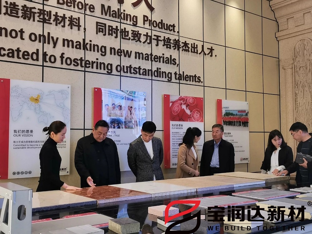 龍蟒佰利聯(lián)集團一行來訪寶潤達(dá)