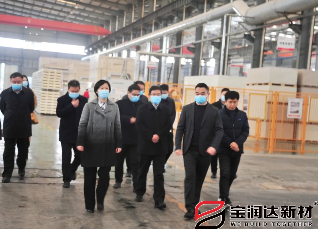 長(zhǎng)葛市長(zhǎng)張曉麗一行來(lái)訪(fǎng)寶潤(rùn)達(dá)